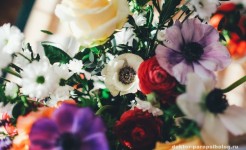 Снятие порчи на цветах снятие порчи на цветах
