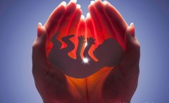 Грех абортов грех абортов