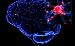 Вредные привычки вредные привычки